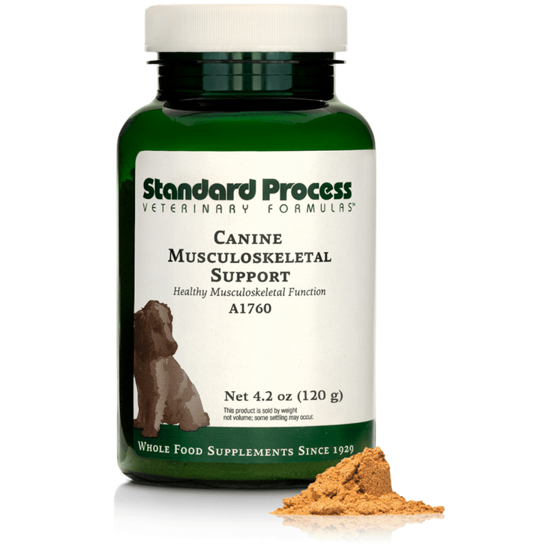 Canine Musculoskeletal Support