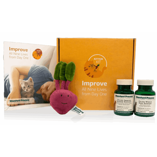 Kitten Kit