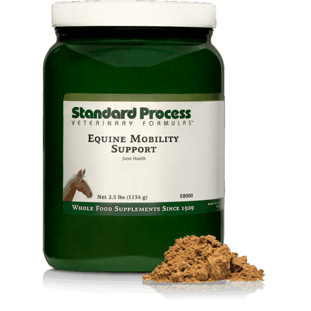 Equine Mobility Support