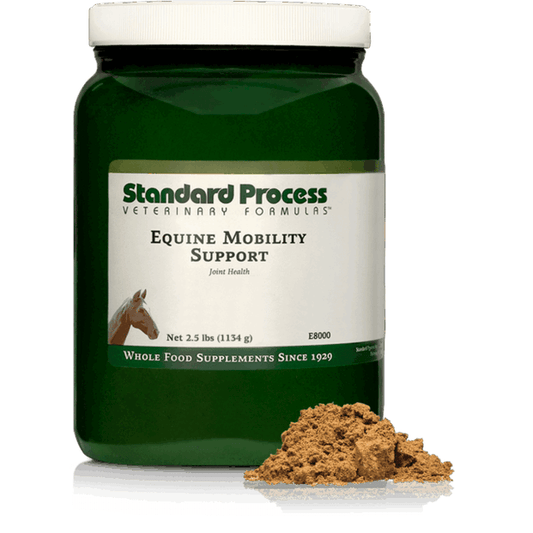 Equine Mobility Support