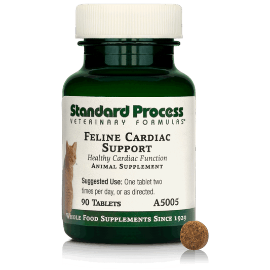 Feline Cardiac Support