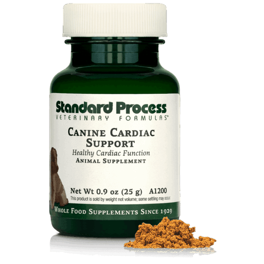 Canine Cardiac Support