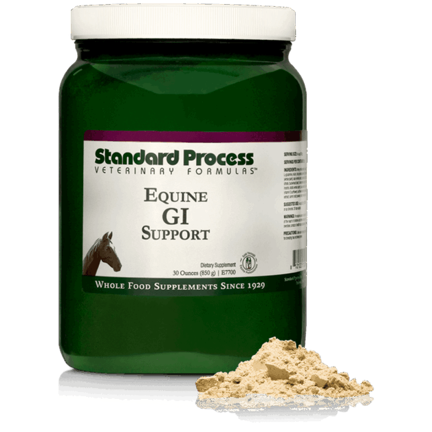 Equine GI Support