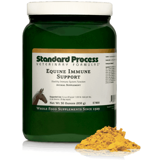 Equine Immune Support