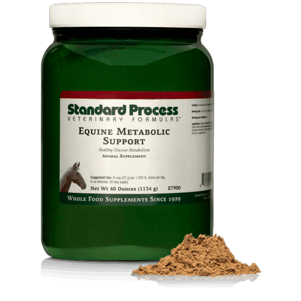Equine Metabolic Support