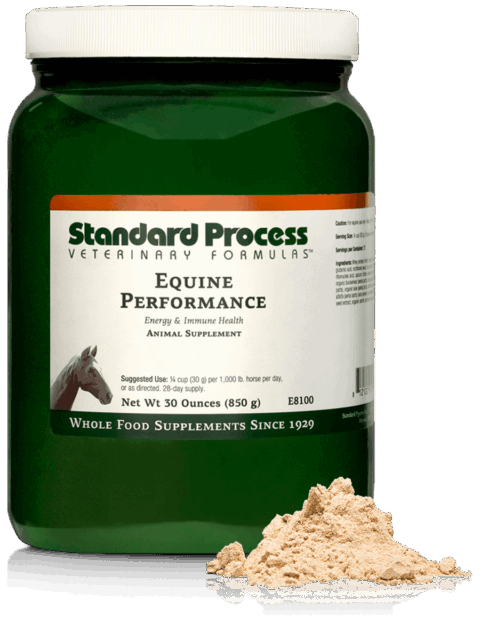 Equine Performance