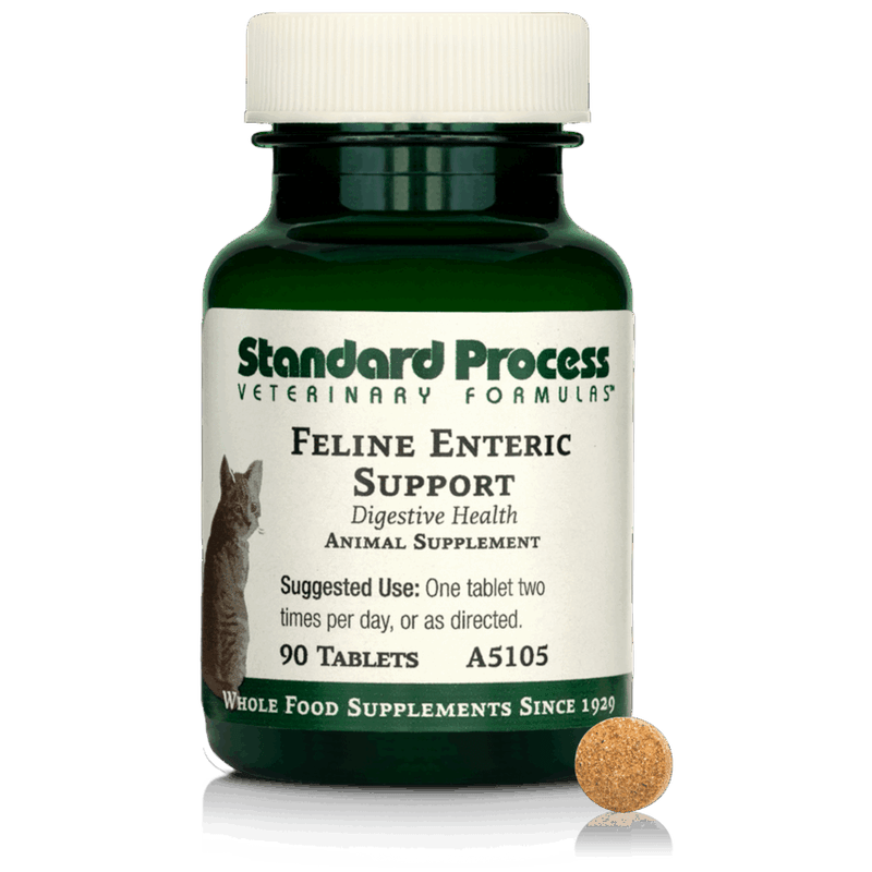 Feline Enteric Support