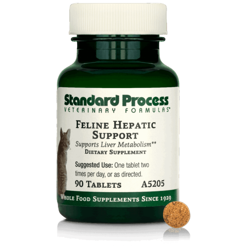 Feline Hepatic Support