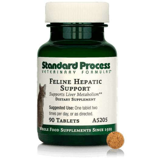 Feline Hepatic Support