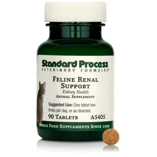 Feline Renal Support