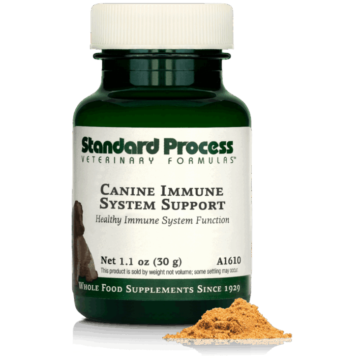 Canine Immune System Support