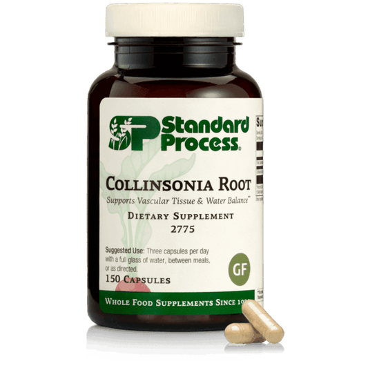 Collinsonia Root