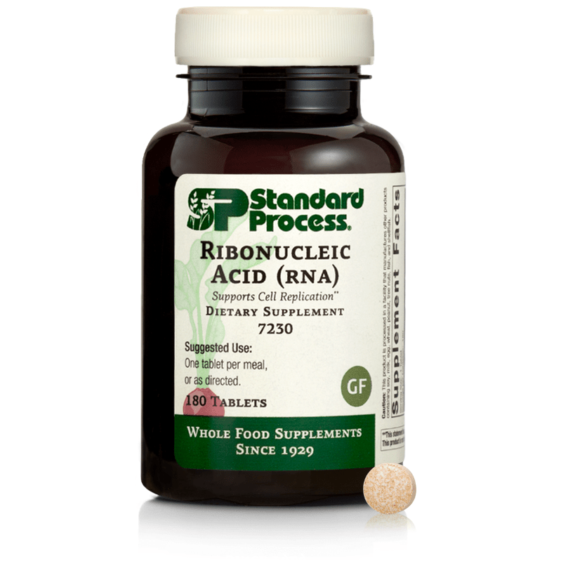 Ribonucleic Acid (RNA)