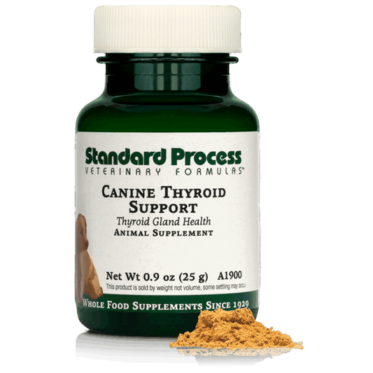Canine Thyroid Support